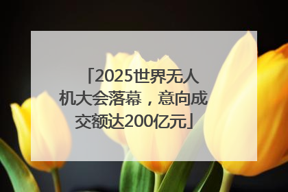 2025世界无人机大会落幕，意向成交额达200亿元